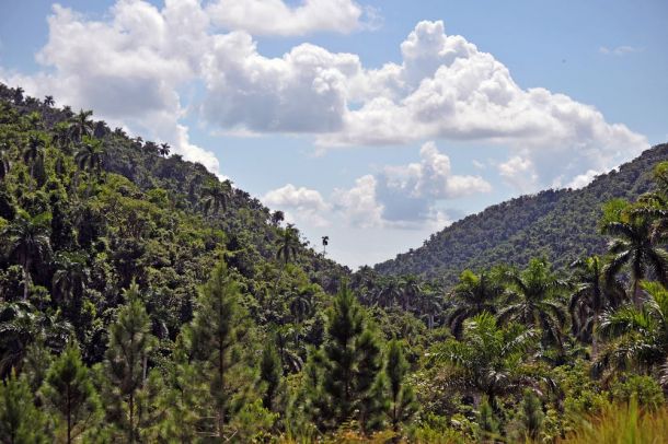 Las Terrazas - tropical forest - Cuba