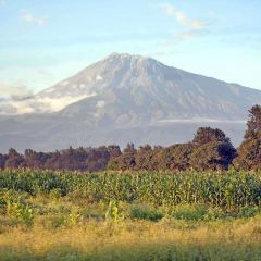 Arusha – Tanzania’s coffee gateway to the wild