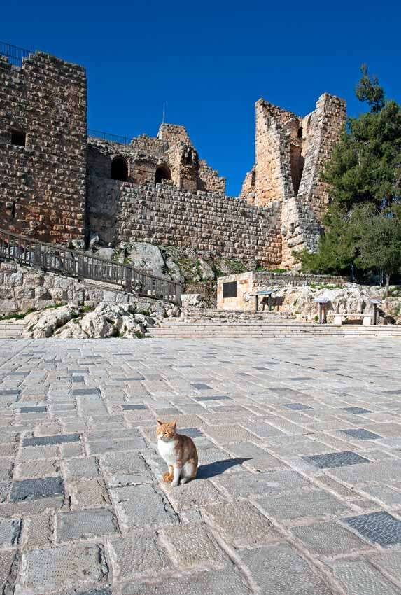 Ajloun Castle 4